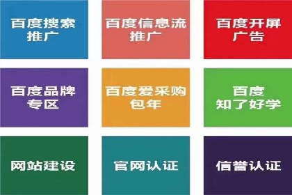 某某sem代运营推广公司经典案例：品牌知名度大增